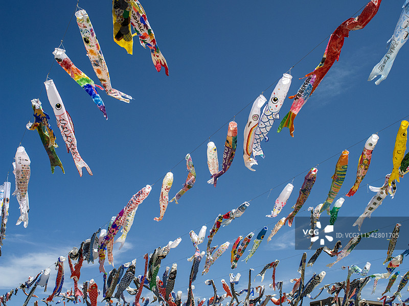 日本大阪市庆祝日本儿童节飘扬的鲤鱼旗图片素材