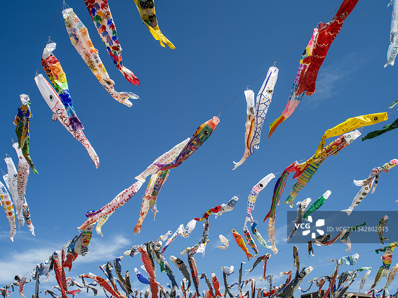 日本大阪市庆祝日本儿童节飘扬的鲤鱼旗图片素材