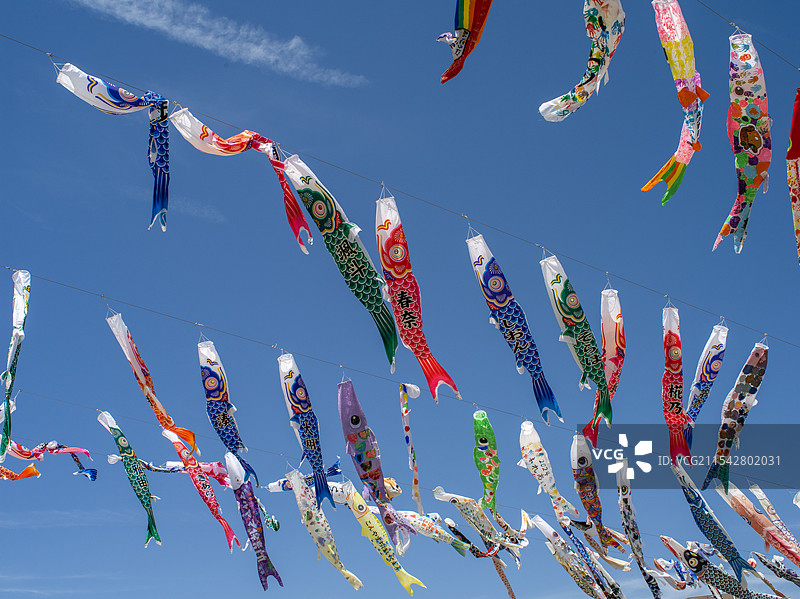 日本大阪市庆祝日本儿童节飘扬的鲤鱼旗图片素材