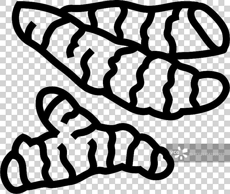 姜黄根阿育吠陀草药线条图标图片素材