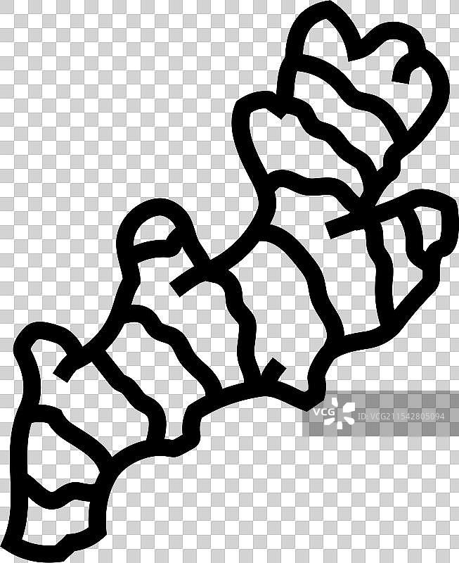 姜根阿育吠陀草药线条图标图片素材