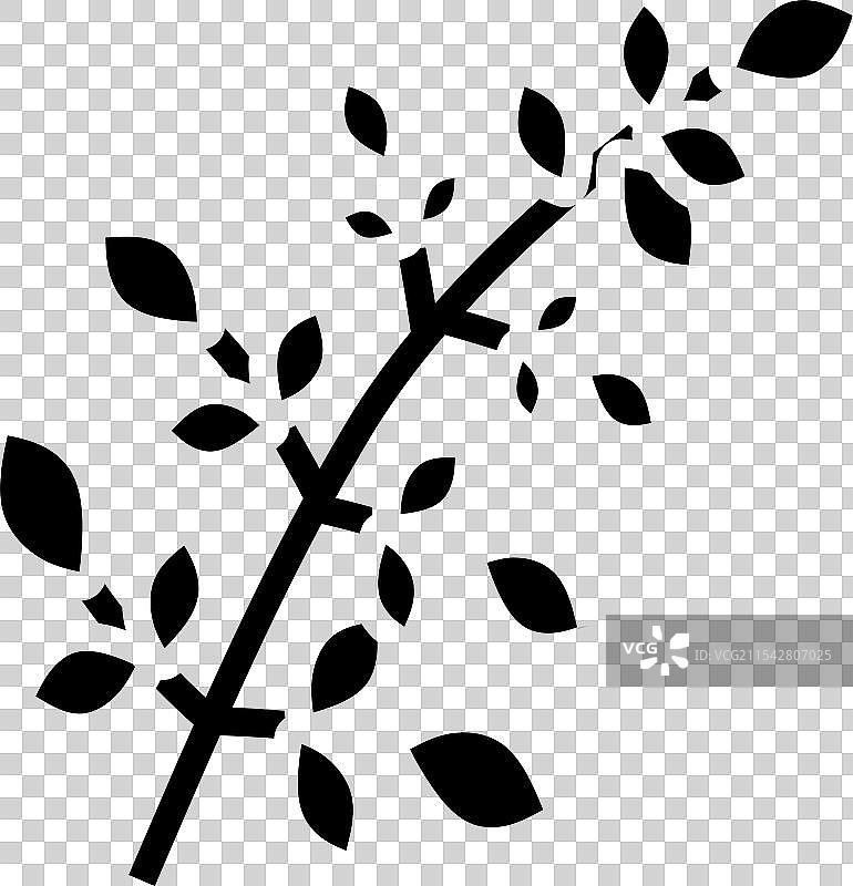 辣木叶 阿育吠陀草药 图标图片素材