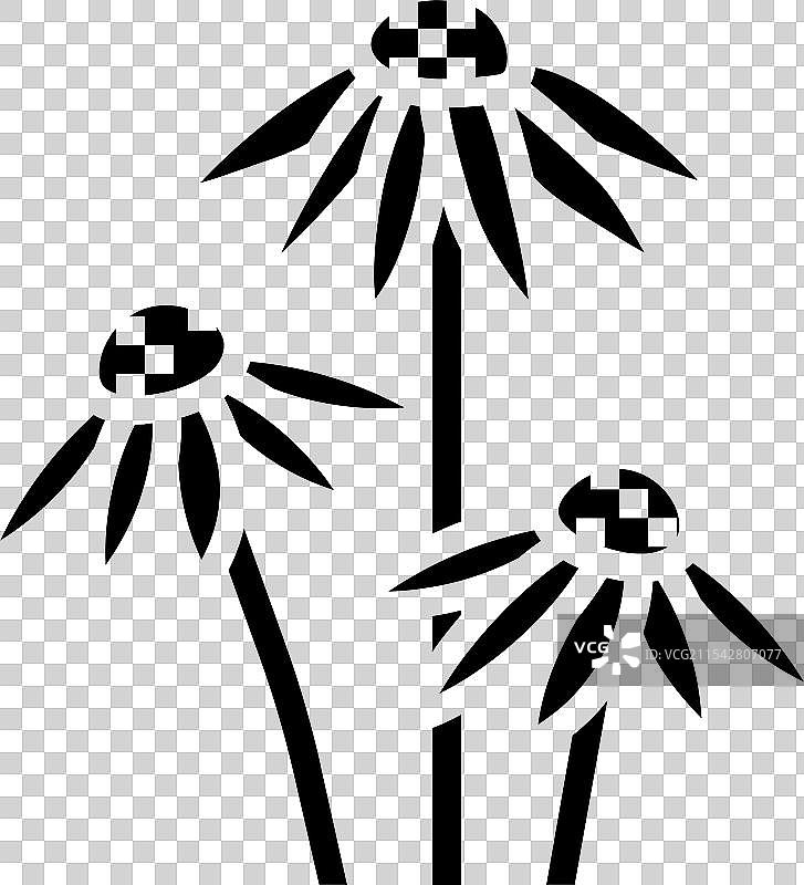 紫锥花阿育吠陀草药图标图片素材