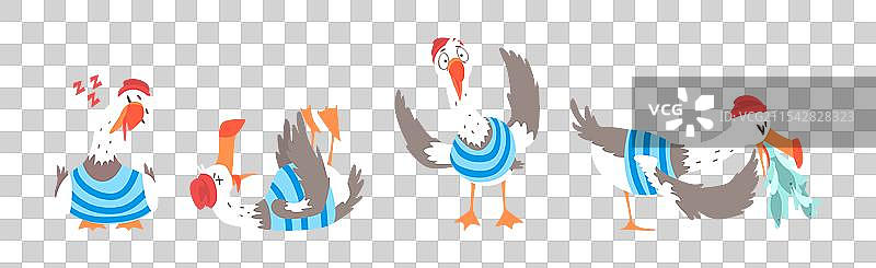 穿着水手条纹衬衫的海鸥鸟套装图片素材