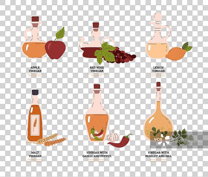 醋瓶和配料的教育展示图片素材