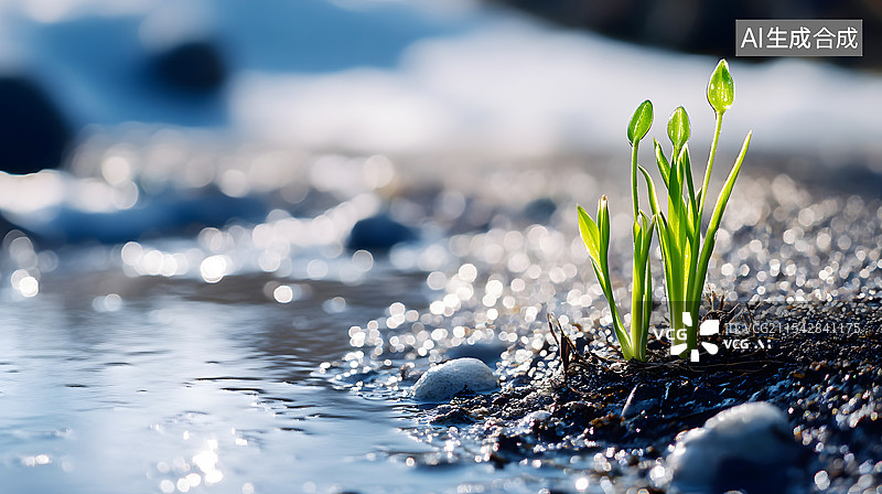 【AI数字艺术】AIGC： 冰雪慢慢融化，植物开始发芽，春天来了，立春节气背景图片素材