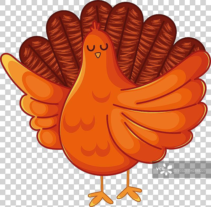 可爱的卡通火鸡，棕色羽毛图片素材