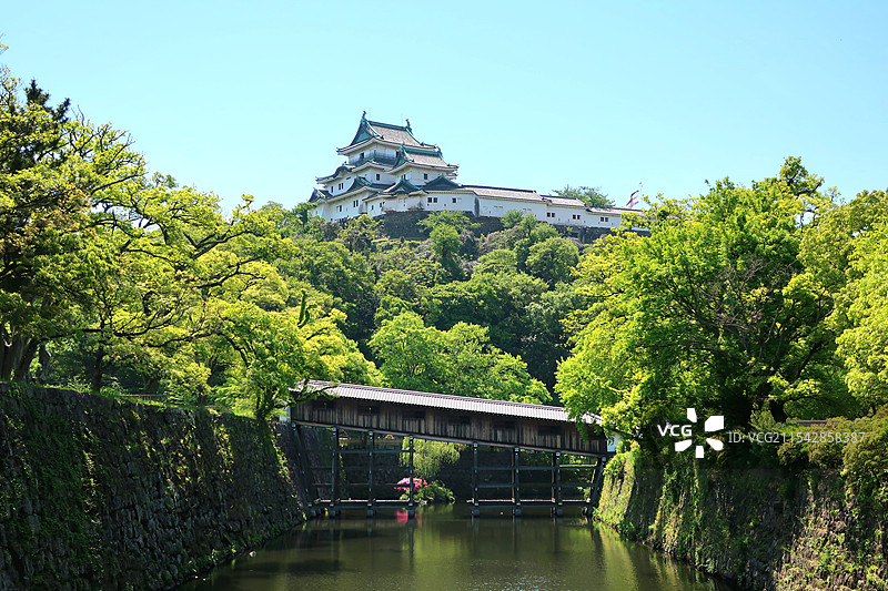 日本和歌山县和歌山市，和歌山城图片素材