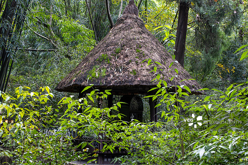 成都杜甫草堂幽静的竹林茅屋图片素材