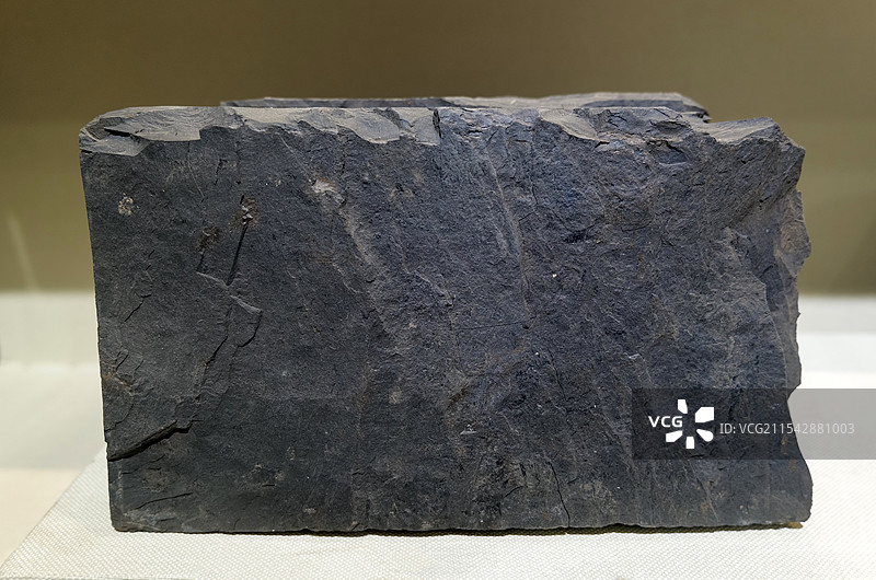 油页岩 烟台市龙口产 山东地质博物馆图片素材