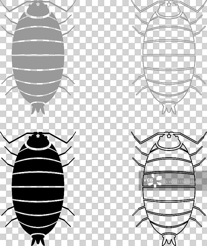 滚圆虫（Porcellio scaber）与木贼草的组合图片素材