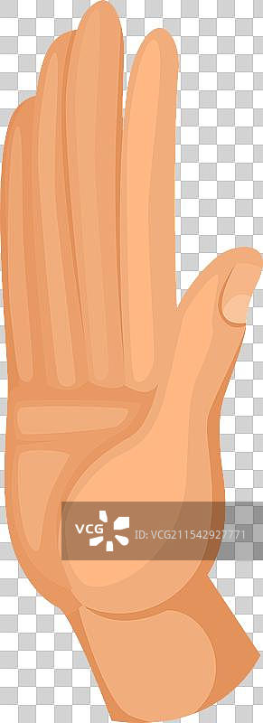 五个手势展示赞同的手势图片素材