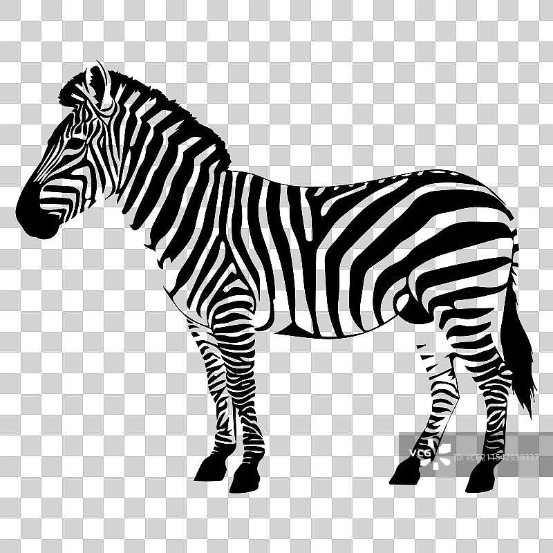 黑色斑马图标图片素材