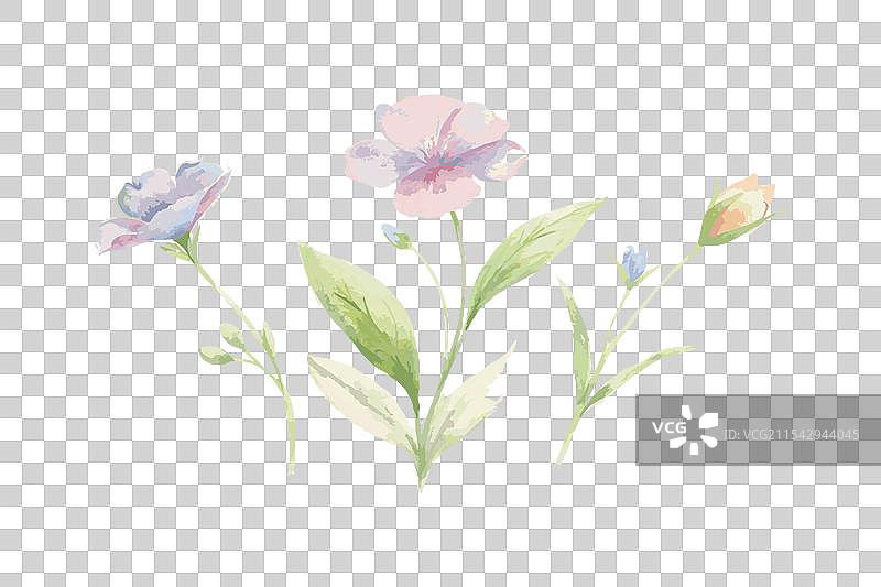 手绘水彩花束插图图片素材