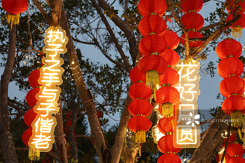 海南三亚，鹿回头，蛇年，新年，2025，春节，喜庆，节日素材，灯笼，执子之手与子偕老，花好月圆，夜景图片素材