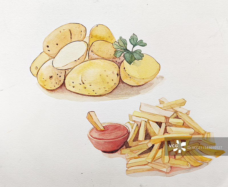 手绘土豆图片素材