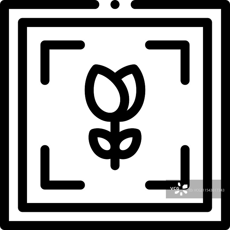 马达加斯加吱吱虫图标，细线条设计图片素材