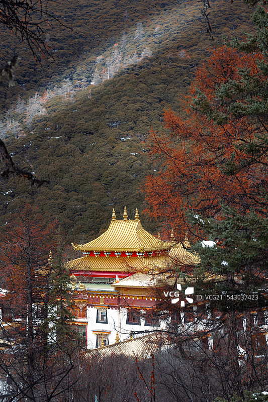 冲古寺图片素材