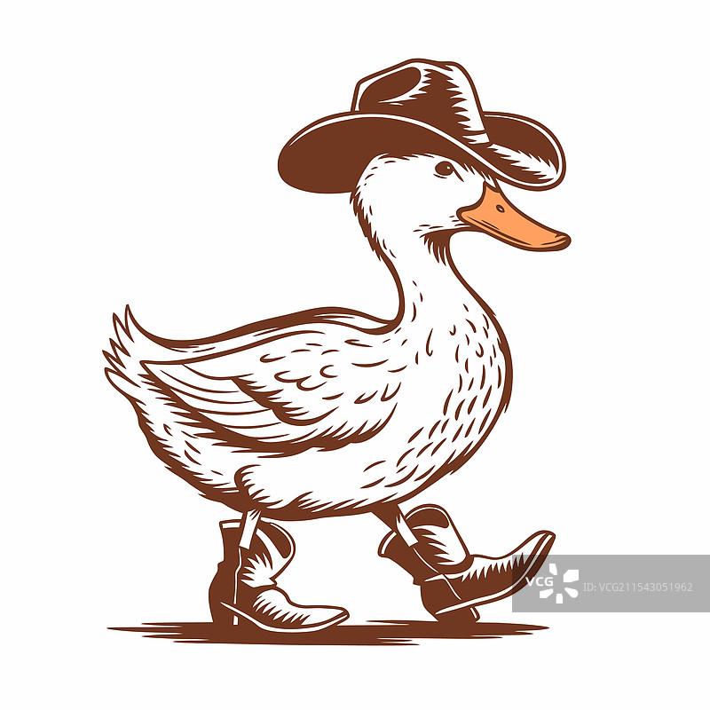 穿着帽子和靴子的牛仔鸭图片素材