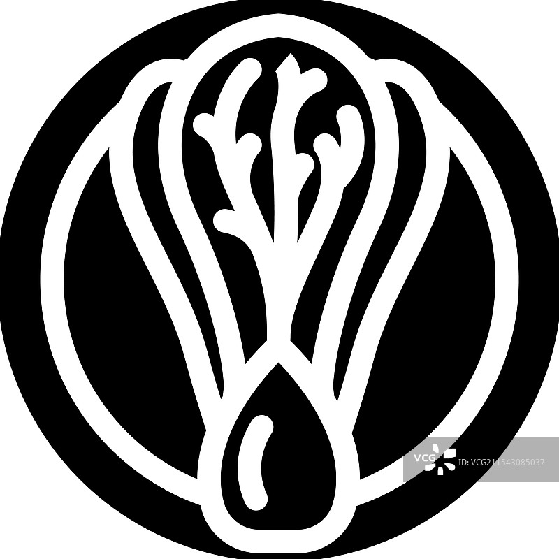 小白菜 中式烹饪 图标图片素材