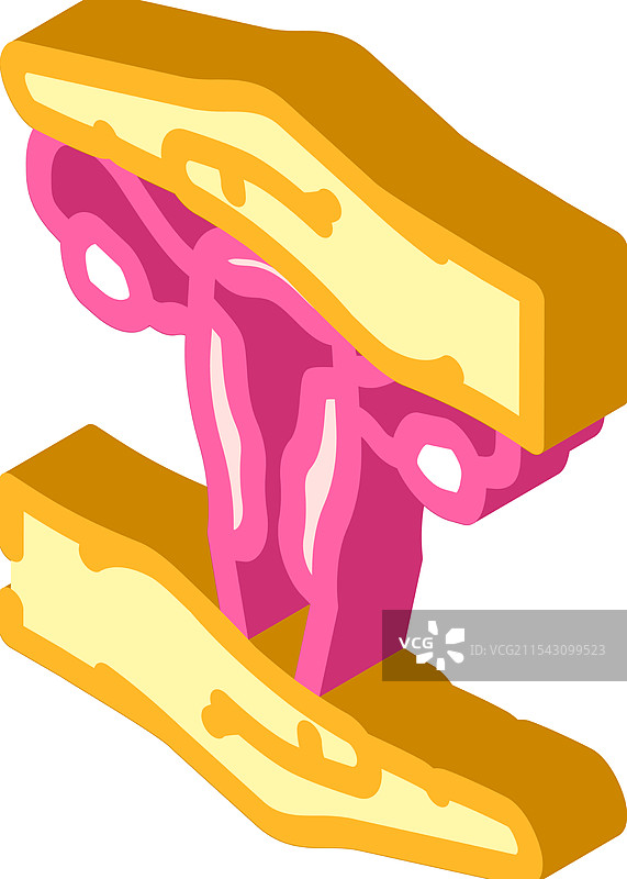 女性骨盆底疾病等距训练图片素材