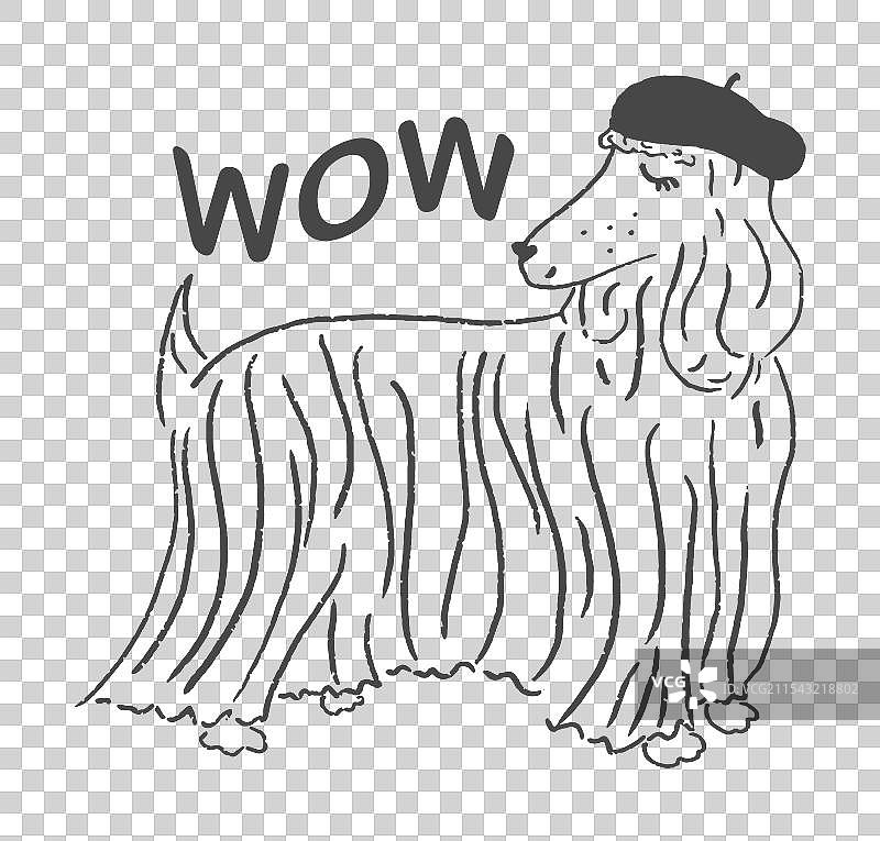 阿富汗猎犬黑白图形画图片素材