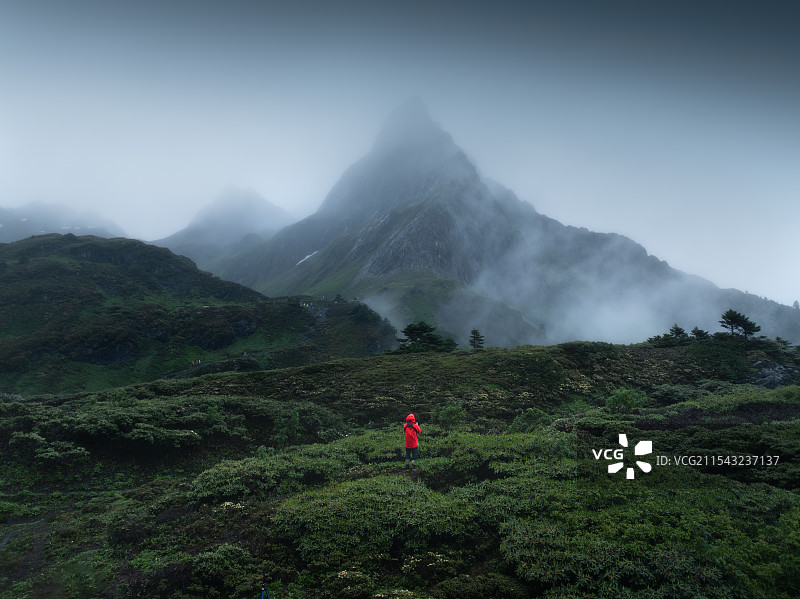 仰望南极洛图片素材