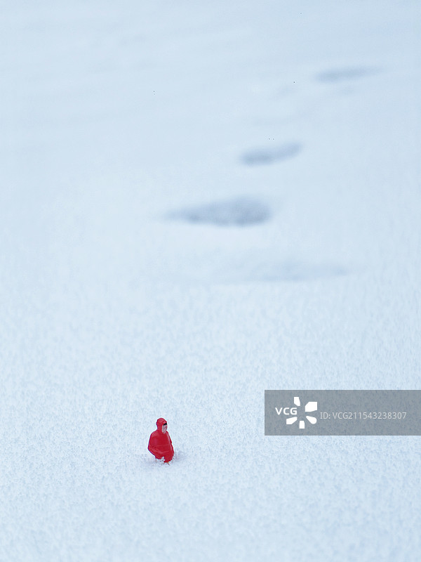 雪中漫步图片素材