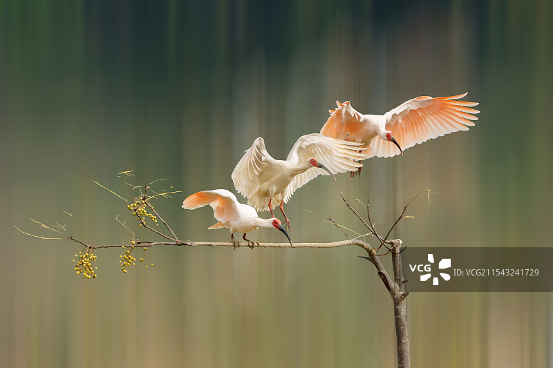 奋力向前图片素材
