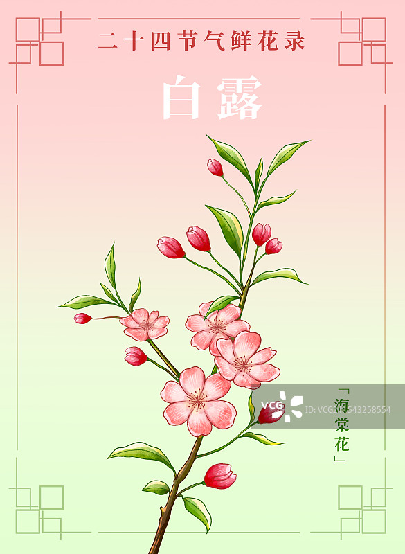 新中式二十四节气宣传海报白露和海棠花图片素材