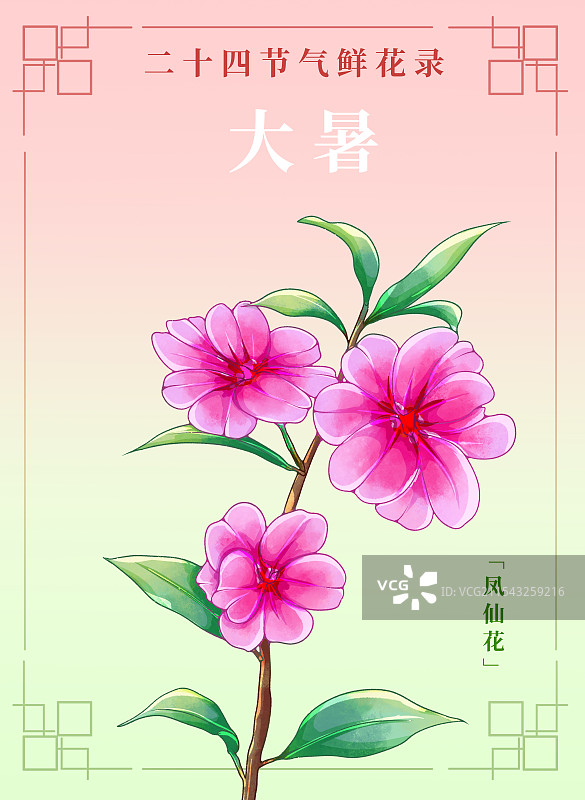 新中式二十四节气宣传海报大暑和凤仙花图片素材