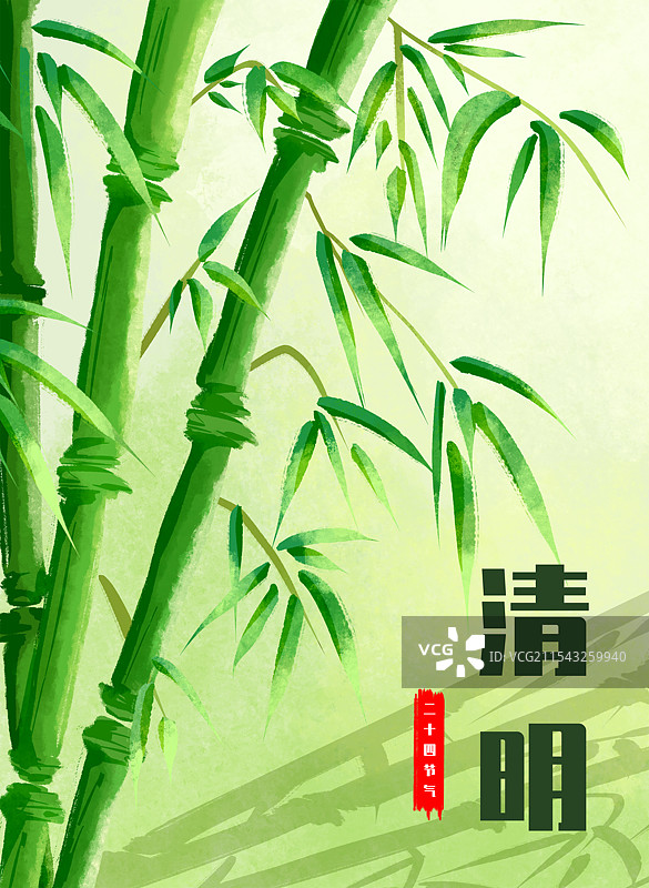 节气插画竹子竹林插画图片素材