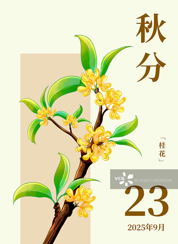 二十四节气宣传海报秋分节气和桂花图片素材