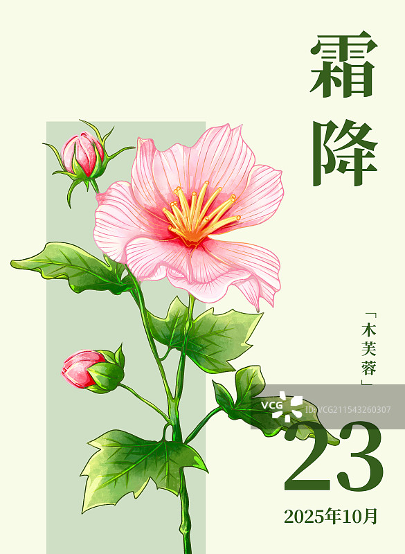 二十四节气宣传海报霜降节气和木芙蓉图片素材