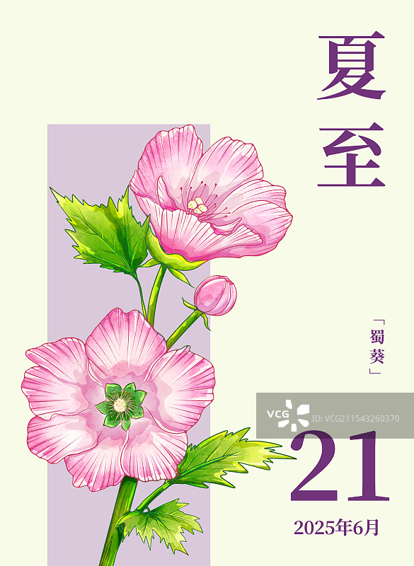 二十四节气宣传海报夏至节气和蜀葵图片素材