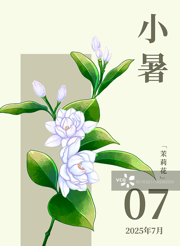 二十四节气宣传海报小暑节气和茉莉花图片素材
