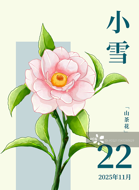 二十四节气宣传海报小雪节气和山茶花图片素材