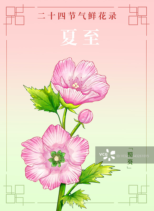 新中式二十四节气宣传海报夏至和蜀葵图片素材