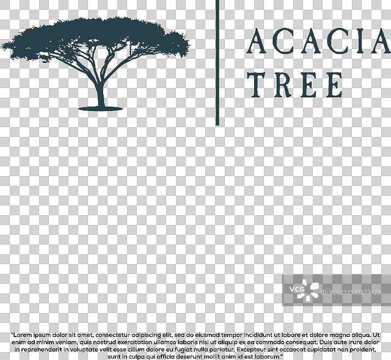 非洲金合欢树的剪影，适合野生动物园使用图片素材