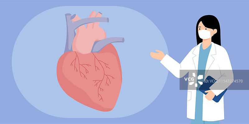 医生讲解心脏器官手绘插画图片素材