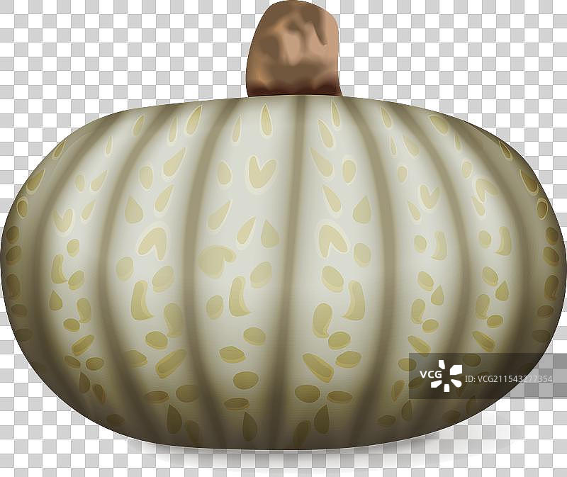 糖果南瓜 冬南瓜 瓜类图片素材