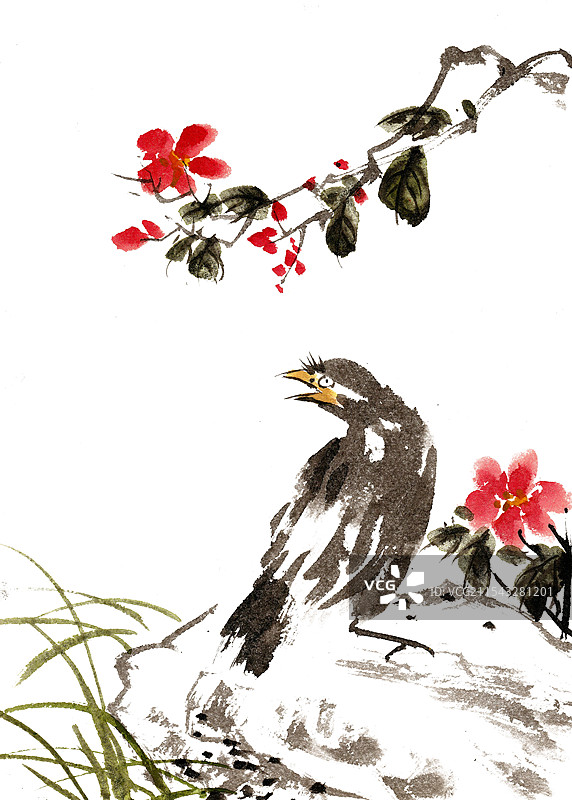 岩石上的鸟图片素材