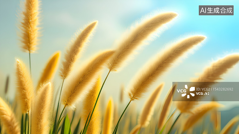 【AI数字艺术】阳光下的狗尾巴草图片素材