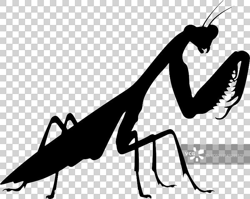 螳螂图标图片素材