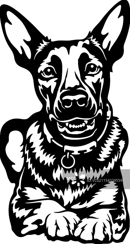 凯尔皮犬品种 - 宠物剪切文件狗图片素材