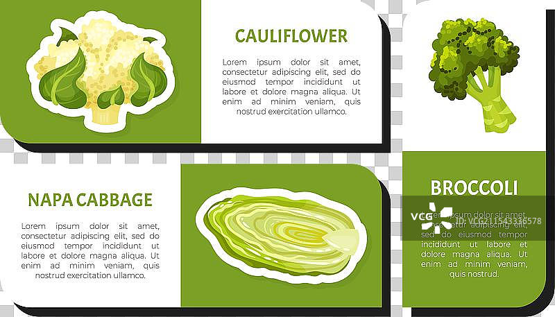 卷心菜蔬菜标签设计与裁剪图片素材