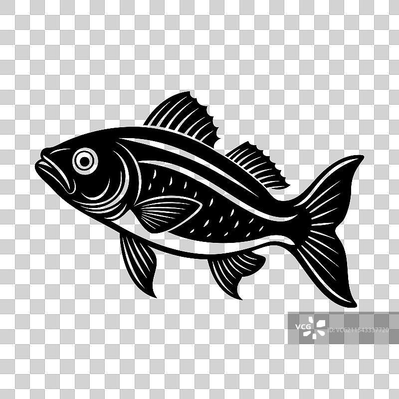 优雅的鱼大胆流线型设计图片素材