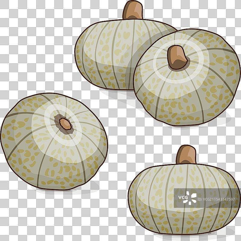 一组糖果南瓜和冬南瓜图片素材