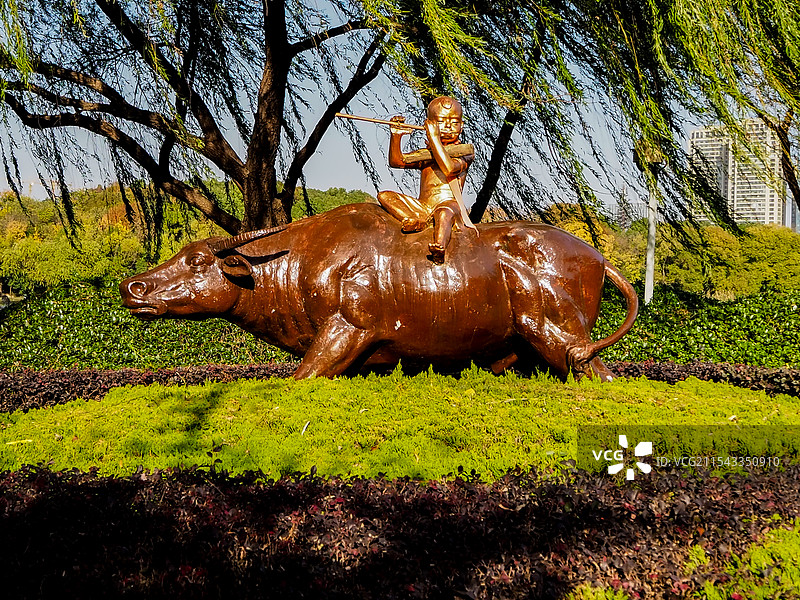 合肥翡翠湖公园__牛图片素材