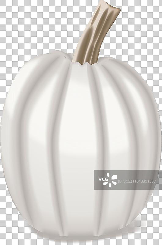 满月南瓜冬南瓜葫芦科图片素材